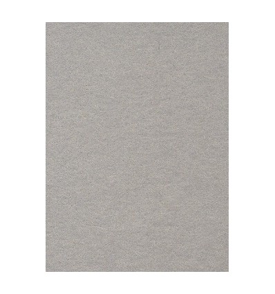 Hintergrund Papier - Farbe: 23 Platin - extra starke 6,2 kg Taste Qualität 200 gr. pr. kvm. 0 Hintergrund Papier - Farbe: 23 Platin - extra starke 6,2 kg Taste Qualität 200 gr. pr. kvm. 0