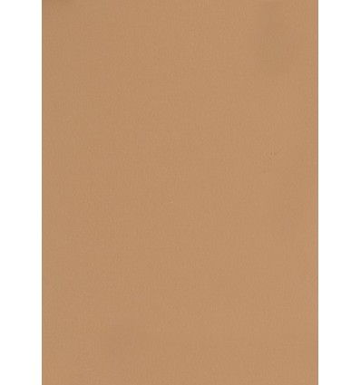 Hintergrund Papier - Farbe: 004 Braun - 2,72 x 11m und 155 gr. pro qm. 0 Hintergrund Papier - Farbe: 004 Braun - 2,72 x 11m und 155 gr. pro qm. 0