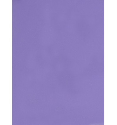 Hintergrund Papier - Farbe: 002 Lila - 2,72 x 11m und 155 gr. pro qm. 0 Hintergrund Papier - Farbe: 002 Lila - 2,72 x 11m und 155 gr. pro qm. 0
