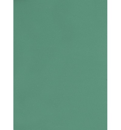 Hintergrund Papier - Farbe: 067-dunkelgrün - 2,72 x 11m und 155 gr. pro qm. 0 Hintergrund Papier - Farbe: 067-dunkelgrün - 2,72 x 11m und 155 gr. pro qm. 0